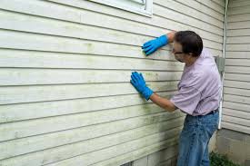 Affordable Siding Repair and Maintenance Services in Bellemont, AZ